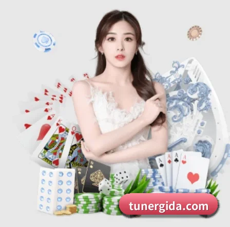 半岛登录入口网页版 APP